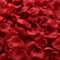 Petali di rosa rossa, petali di rosa 1000pcs 1, 77 pollici vino artificiale decorativo rosso decorativo borgogna falsa bulk di fiori per notte romantica, matrimonio, anniversario e festa, fiore