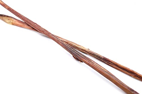 Neretto di bue essiccato per cani, 80-90 cm, 50 pezzi, di produzione tedesca, articolo da masticare per grandi e piccini