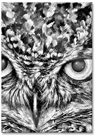 Pixxprint Glasbild, Wandbild aus Echtglas, Eule mit gelben Augen, 60x80 cm, inkl. Aufhängung und Abstandshalter