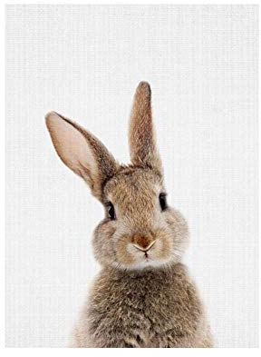 bdrsjdsb Niedlichen Tier Kaninchen Leinwand Poster Kein Rahmen Malerei Kunst Büroraum Cafe Wandbild 1# 50 * 70 cm