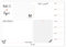 Him & I® - Schreibtischunterlage make it happen - Schreibunterlage aus Papier zum Abreißen, 50 Blatt, Malunterlage, To-Do-Liste, Wochenplaner