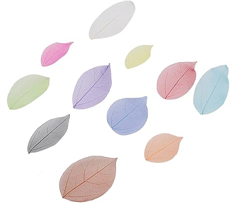 TOPBATHY 40St Scrapbooking Blätter getrocknete Blätter für das Handwerk dekorative Blätter Ahornblätter Gummibaum Blätter hochzeitsdeko natürlich Skelett Sache Material Sammelalbum