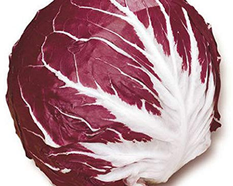 Palla Rossa 2 Radicchio 300 Semillas Molto gustosa agregar cualquier color y zip sul Insalate