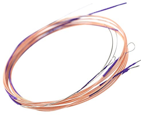 BESTonZON 4stücke Teiliges Pipa-saiten Ersatzsaiten Für Chinesische Laute Standardgespannte Stahlsaiten Mit Klarem Klang Einfache Montage Hochqualitative Saiten Für Übung Und Professionelle