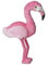 cavernedesjouets Grande Peluche Flamant Rose 120cm - Set Doudou géantes Enfant 1m20-1 Carte Offerte - Enfant - nouveauté