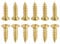 DTGN M2x8mm(DxL) Brass Phillips Wood Screws - 25Pack - Good for Wood Crafts, Furniture - Countersunk Head Self-Tapping Screw - Brass Tone
