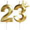 Geburtstagskerzen Zahlen mit Krone 23, 5cm 3D Gold Geburtstagskerzen, Geburtstag Kerzen,Kerzen Geburtstag,Tortenaufsätze Kuchen Topper Dekoration Hochzeit Geburtstag Jubiläum Feier Lieferungen(23）