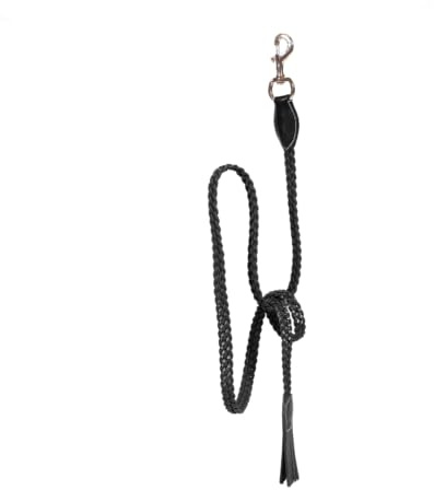 Kentucky - Plaited Lead