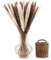 Blumtal Pampasgras groß 100 STK. Mix Natur + Weiß - echte Pampasgras Deko ca.58-60 cm - extra fluffiges Pampas Gras - Boho Deko Pampasgras Natur - Deko Boho Pampas - langlebiges Pampasgras XXL Deko