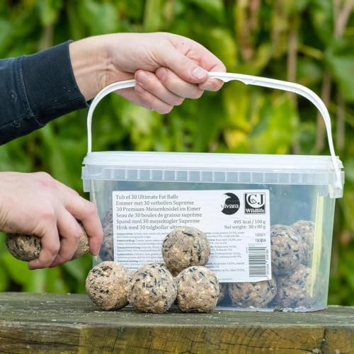 CJ Wildlife Meisenknödel ohne Netz – Fettfutter für Wildvögel – 30 Stück Eimer – ganzjährig – eiweißreich, Allwetter-tauglich
