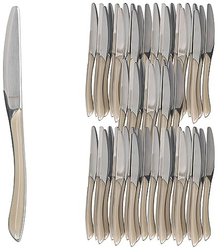 Ritzenhoff & Breker Beauty 60er Set Menümesser taupe I Besteck für 60 Personen I aus rostfreiem poliertem Edelstahl & Kunststoff I für Frühstück, Mittag, Kaffee & Abendbrot I Hotel, Gastro