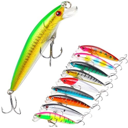 XVZ Angelköder für Forelle und Barsch, 10 Stück 10cm 9g Angeln Crankbait Set, Angeln harten Köder, Topwater Köder, Angel Geschenk für Männer