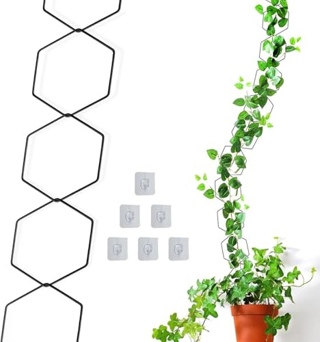 18 Stück Kettenspalier für Kletterpflanzen, Rankhilfe Wand Rankhilfen, Wandkettenspalier für Pflanzen mit 6 Spurlosen Haken, für die Stützung von Kletterpflanzen und Grünpflanzen