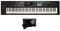 Roland JUNO-DS76 Synthesizer Lightweight 76-note performance synth with great sounds and intuitive operation for bands expanding their musical range