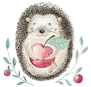 Goldkindzauber DIY Aufbuegler Patch Sticker Applikation Igel Apfel Aufnaeher Kleidung Patches Zum Aufbügeln