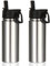 Volhoply 18oz Insulated Water Bottle 2 Pack, Multipack Kids Stainless Steel Water Bottles with Straw Lid, Double Wall Vacuum Metal Bottle (Silver,2 Pack)