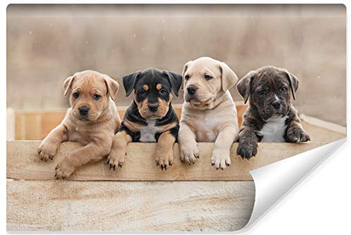 Muralo Non-Woven Photo Wallpaper 152.5 x 104 cm Bedroom Puppies Dogs 3D Modern Wallpaper Living Room Wall Picture XXL Width 152.5 cm x Height 104 cm