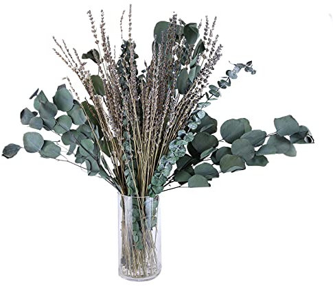Trockenblumen Klein Deko,Pampasgras Getrocknet Deko,52 Stück Trockenblumen Set für Wohnzimmer,Getrocknete Blumen Vasen Arrangement,Trockenblumenstrauß Basteln,Eukalyptus Künstlich Pflanze Deko