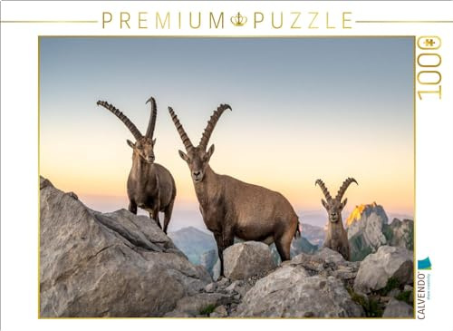 CALVENDO Puzzle Steinbock Treffen | 1000 Teile Lege-Größe 64 x 48 cm Foto-Puzzle für glückliche Stunden