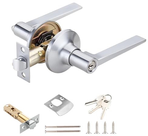 Qrity 1 Piezas Cerradura de puerta, Manija con Cerradura de Llave, Manillas Puerta Cerradura para Interior y Exterior, Picaporte de Entrada de 60/70mm, Plata