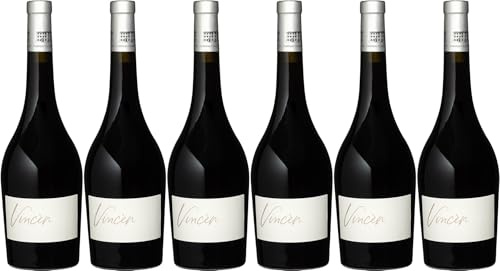 Château Clarettes Cuvée Vincen Amphore Côtes de Provence AOP 2021 Trocken (6 x 0.75 l)
