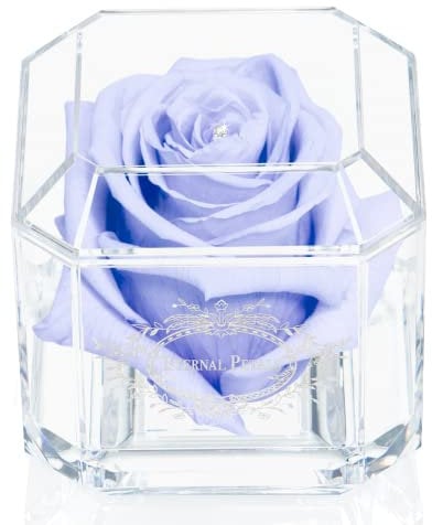 A 100% Real Rose That Lasts Years - Eternal Petals, Handmade in UK – White Gold Solo with A Clear Crystal (Light Lavender)