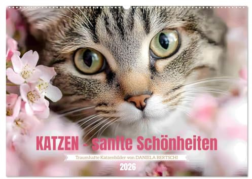 Katzen - sanfte Schönheiten (Wandkalender 2026 DIN A2 quer), CALVENDO Monatskalender: Lassen Sie sich jeden Monat aufs Neue durch die wunderbare Welt der Katzen verzaubern. (CALVENDO Tiere)