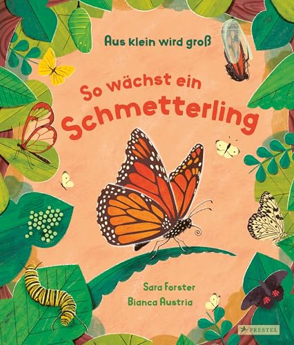 Aus klein wird groß. So wächst ein Schmetterling: Ein Sachbilderbuch für Kinder ab 3 Jahren