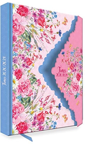 Trötsch Schülerkalender mit Klappe Flower 2020/2021: Schulplaner Hausaufgabeheft Timer Terminkalender
