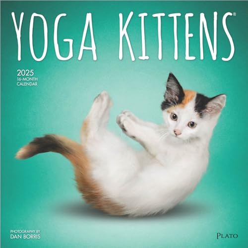 YOGA KITTENS 2025 16 MONTH CALENDAR