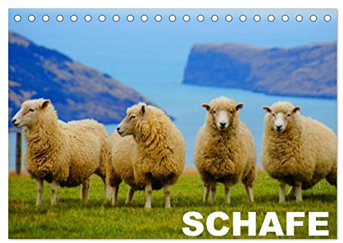 Schafe/Geburtstagskalender (Tischkalender 2025 DIN A5 quer), CALVENDO Monatskalender