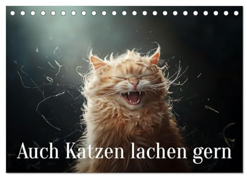 Auch Katzen lachen gern (Tischkalender 2026 DIN A5 quer), CALVENDO Monatskalender: Wenn Katzen lachen, bleibt kein Auge trocken (CALVENDO Tiere)