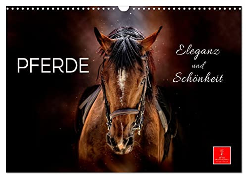 Eleganz und Schönheit - Pferde (Wandkalender 2026 DIN A3 quer), CALVENDO Monatskalender: Die Schönheit und Eleganz der Pferde in zwölf wunderschönen Bildern. (CALVENDO Tiere)