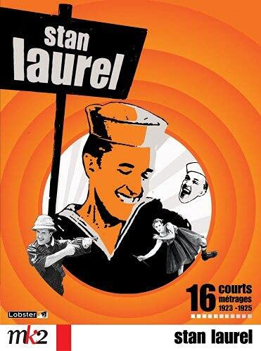 Coffret Stan Laurel : 15 courts métrages - Édition 3 DVD [FR Import]