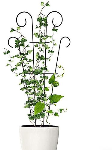 Plant Climbing Support Frame, Garden Plant Supports, Flower Rack Cage, Garden Plant Metal Climbing Stand Stake for Garden Indoor