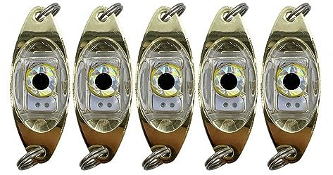 5 Teiliges LED Angelköder Licht, Tiefes Tropfen Angellicht, Angellöffel Diamantlichter Schleppköder Unterwasser Angeln Blinklicht für Salzwasser und Süßwasser
