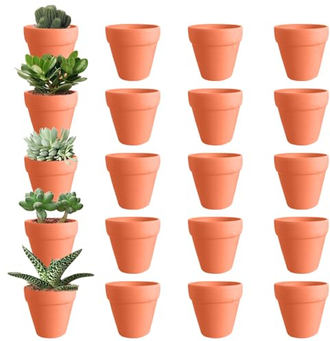 AVCXEC Lot de 20 Pots en Terre Cuite, 6.5 * 6 cm Pots de Fleurs en Terre, Petits Pots en Argile, avec Trou de Drainage, Terre Cuite Mini, Pot de Fleurs pour Plantes Grasses, pour Intérieur Extérieur
