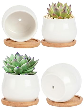 7WUNDERBAR Keramik Sukkulenten Töpfe Set Kaktus Pflanzer klein Übertopf 7cm Mini Blumentopf Töpfchen mit Bambus Untersetzer Rund Weiß (Pflanze Nicht enthalten) (4)