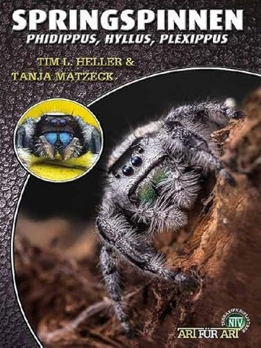 Springspinnen: Phidippus, Hyllus, Plexippus (Buchreihe Art für Art Terraristik)