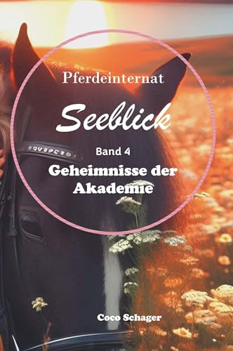 Pferdeinternat Seeblick Band 4: Geheimnisse der Akademie