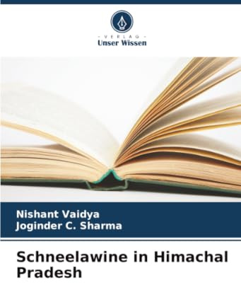 Schneelawine in Himachal Pradesh