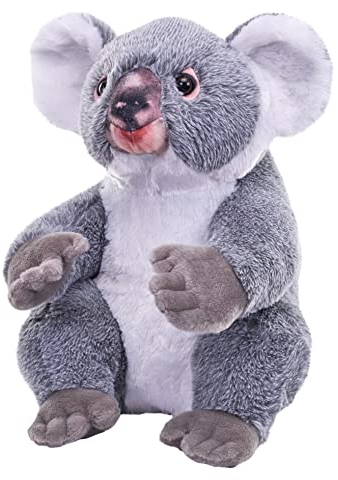 Wild Republic Artist Collection Koala, Geschenk für Kinder, 38 cm, Plüschtier, Füllmaterial besteht aus versponnenen recycelten Wasserflaschen, 15