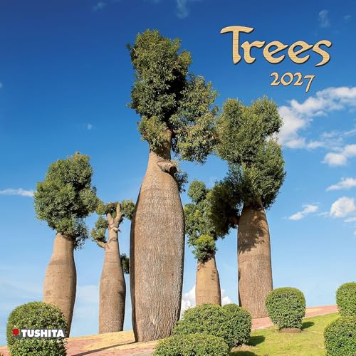 Trees 2027: Kalender 2027 (Mindful Edition)