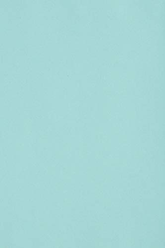 Netuno 20 x Tonkarton DIN A4 210x 297 mm Hellblau 250g Burano Azzurro Bastel-Karton farbig Fotokarton A4 bunt Karton Hochzeit Taufe Weihnachten Geburtstag DIY-Karten buntes Tonpapier
