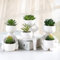 ODIWEN 3Pcs Plantes Succulentes Artificielles Plantes, Fausses Plantes Vertes Décoration, Fausse Plantes en Pot pour Décoration Bureau, Balcon, Salon, avec Pot Plante Artificielle Petite,Plante Faux