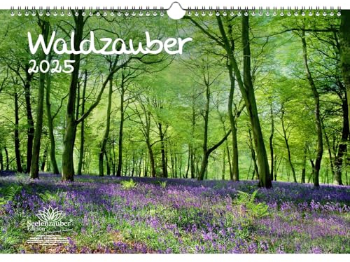 Waldzauber DIN A3 Kalender für 2025 Baum Bäume Wald Natur - Seelenzauber