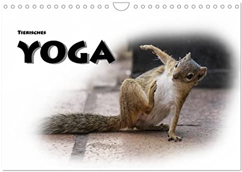 Tierisches Yoga (Wandkalender 2026 DIN A4 quer), CALVENDO Monatskalender: Lustige Verrenkungen in der Tierwelt, schön, niedlich einfachh nett anzusehen (CALVENDO Tiere)