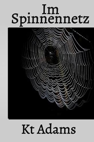 Im Spinnennetz: Ein Psychothriller