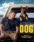 Dog Channing Tatum Poster 30 x 40 cm