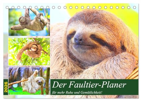 Der Faultier-Planer für mehr Ruhe und Gemütlichkeit! (Tischkalender 2026 DIN A5 quer), CALVENDO Monatskalender: Mit weniger Hektik und Stress lebt es sich um einiges entspannter! (CALVENDO Tiere)